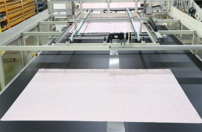 Richpeace - Mașină de cusut overlock automată cu două margini