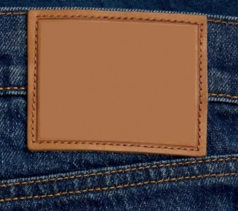 D-XY 1010G ROBOTECH - Mașină de bordat Semi-industrială computerizată, cu un ac, acționare directă